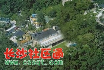 ʮ˵피լ